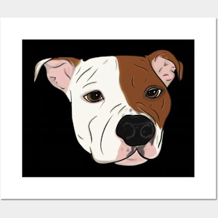 Stella the PitBull Posters and Art